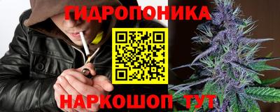 гашик Краснодар