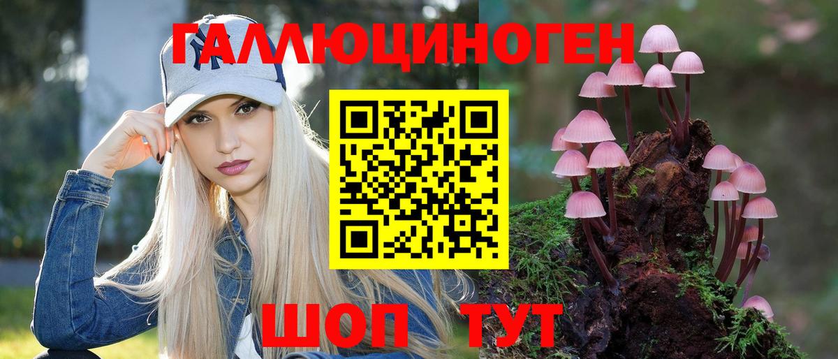 Галлюциногенные грибы Psilocybine cubensis  Вход с VPN  Псилоцибиновые грибы MAGIC MUSHROOMS  Пятигорск 