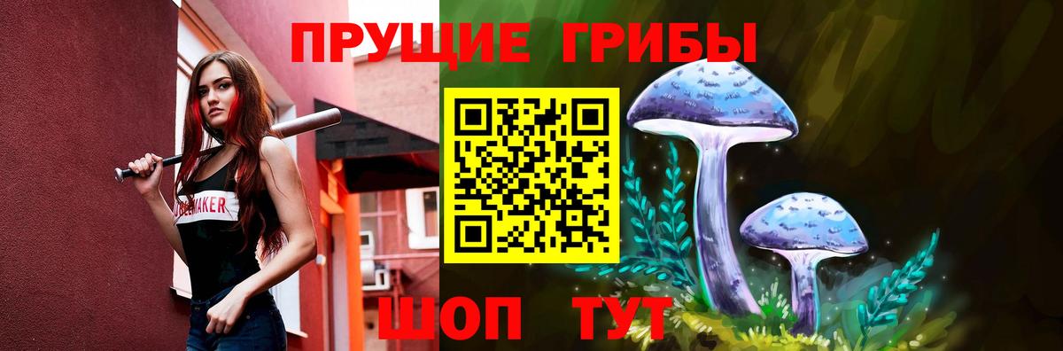 Псилоцибиновые грибы прущие грибы Пятигорск